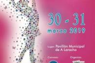 I FASE CAMPEONATO NIVELES 4 AL 8 DE LA FEDERACIÓN DE PATINAJE